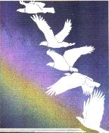 illustrations,designs,murals